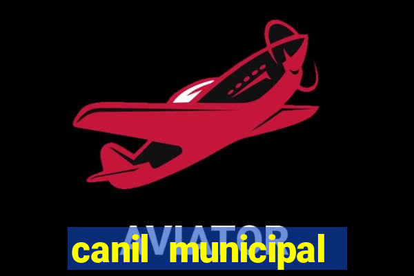 canil municipal porto alegre